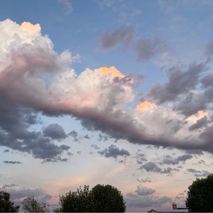 Meet your Posher, Ellie